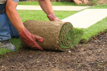Sod Installation