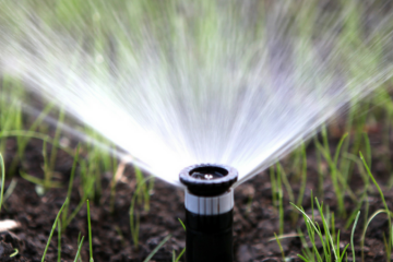 Lawn Irrigation Systems